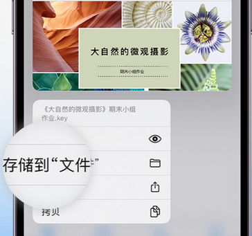 日土apple维修中心分享iPhone文件应用中存储和找到下载文件