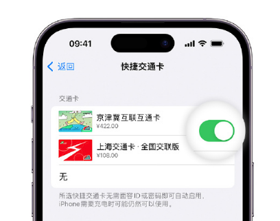 日土apple维修点分享iPhone上更换Apple Pay快捷交通卡手绘卡面 