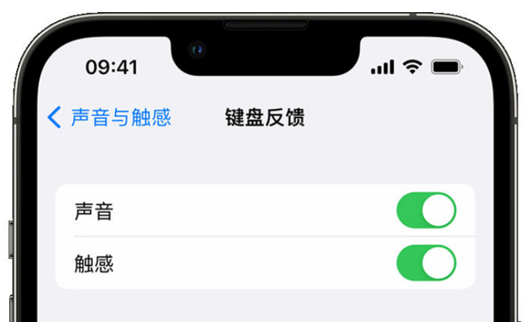 日土苹果手机维修分享iPhone 14触感键盘使用方法 