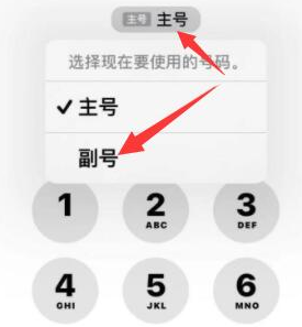 日土苹果14维修店分享iPhone 14 Pro Max使用副卡打电话的方法 