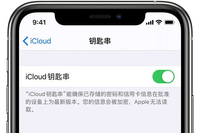 日土苹果手机维修分享在 iPhone 上开启 iCloud 钥匙串之后会储存哪些信息 