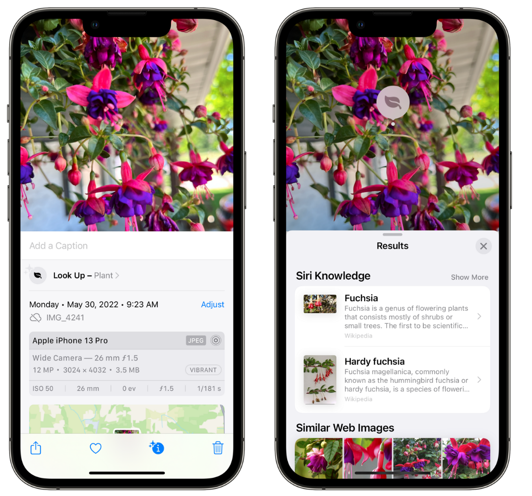 日土苹果手机维修分享小技巧：使用 iPhone 相机识别花卉植物 