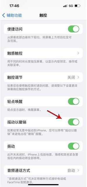 日土苹果手机维修分享iPhone手机如何设置摇一摇删除文字 