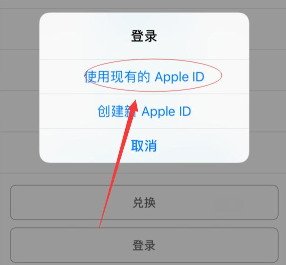 日土苹果手机维修分享两台iPhone设备可以同时登录一个Apple ID吗 