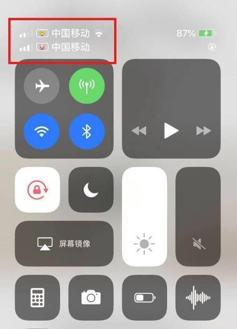 日土苹果手机维修分享为 iPhone 12 双卡设置标签 